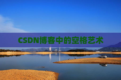 CSDN博客中的空格艺术